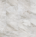 Ivory - Shaw Vinyl Plank Flooring - Apex 3438v