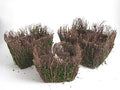 MOSS105REC/3TMP